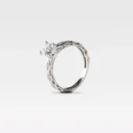 Verenički prsten Alpi